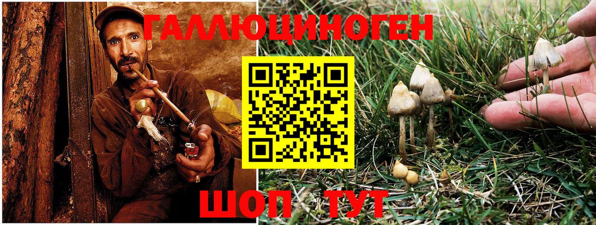 Галлюциногенные грибы Magic Shrooms Луховицы